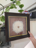 Pipal Leaves Bhojpatra based art decorative framed Picture