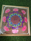 Dhan laxmi Samridhhi Yatra